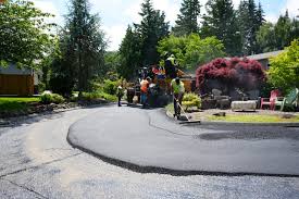 Best Driveway Drainage Solutions  in Swisher, IA